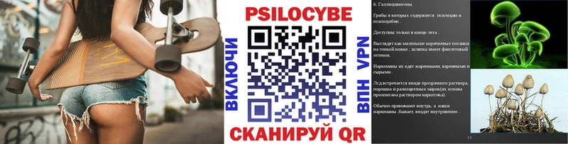 Купить где  Грязи  Галлюциногенные грибы MAGIC MUSHROOMS 